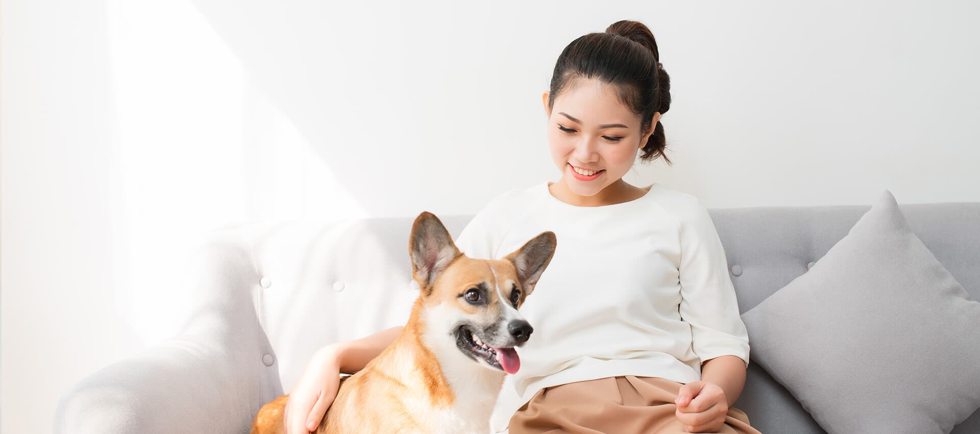 Animal Assisted Therapy in Ireland | Private Therapy Clinic